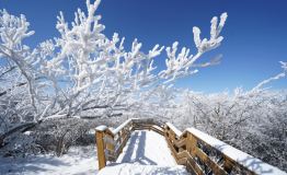 雪后的衢州龙游六春湖美成了“仙境”