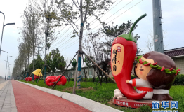 保定旅发大会倒计时！准备就绪，盛装迎宾朋